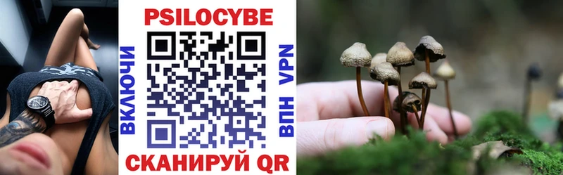 Псилоцибиновые грибы Psilocybe  Буй 